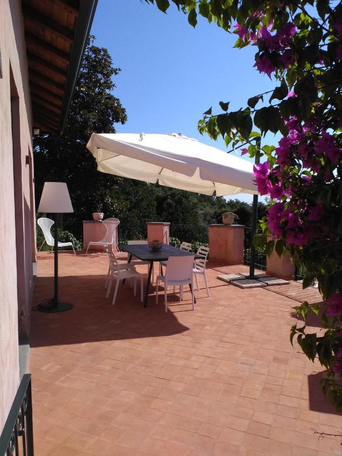 La Corte Di Bafe B&B "Slow Life" Zafferana Etnea Εξωτερικό φωτογραφία