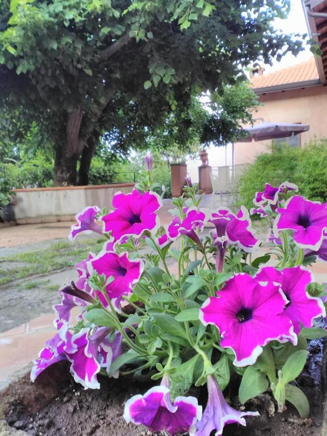 La Corte Di Bafe B&B "Slow Life" Zafferana Etnea Εξωτερικό φωτογραφία